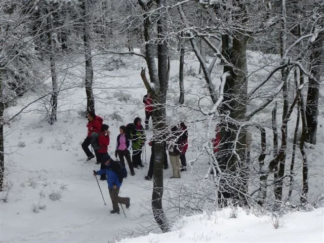 Oberbreitenau | © Oberbreitenau