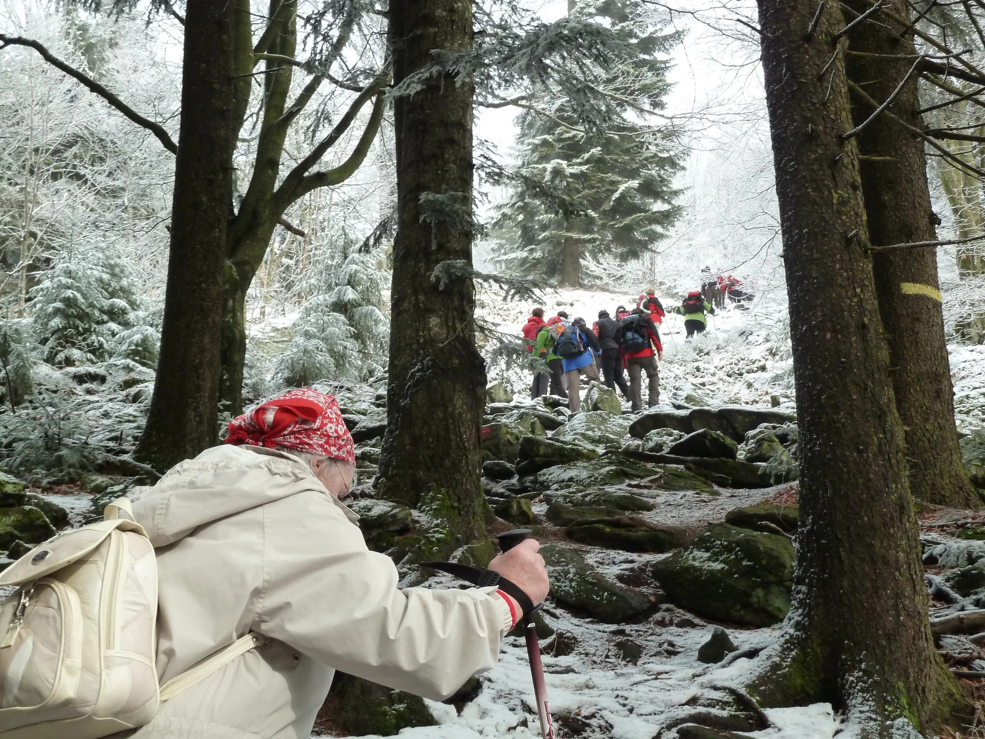 Oberbreitenau | © Oberbreitenau