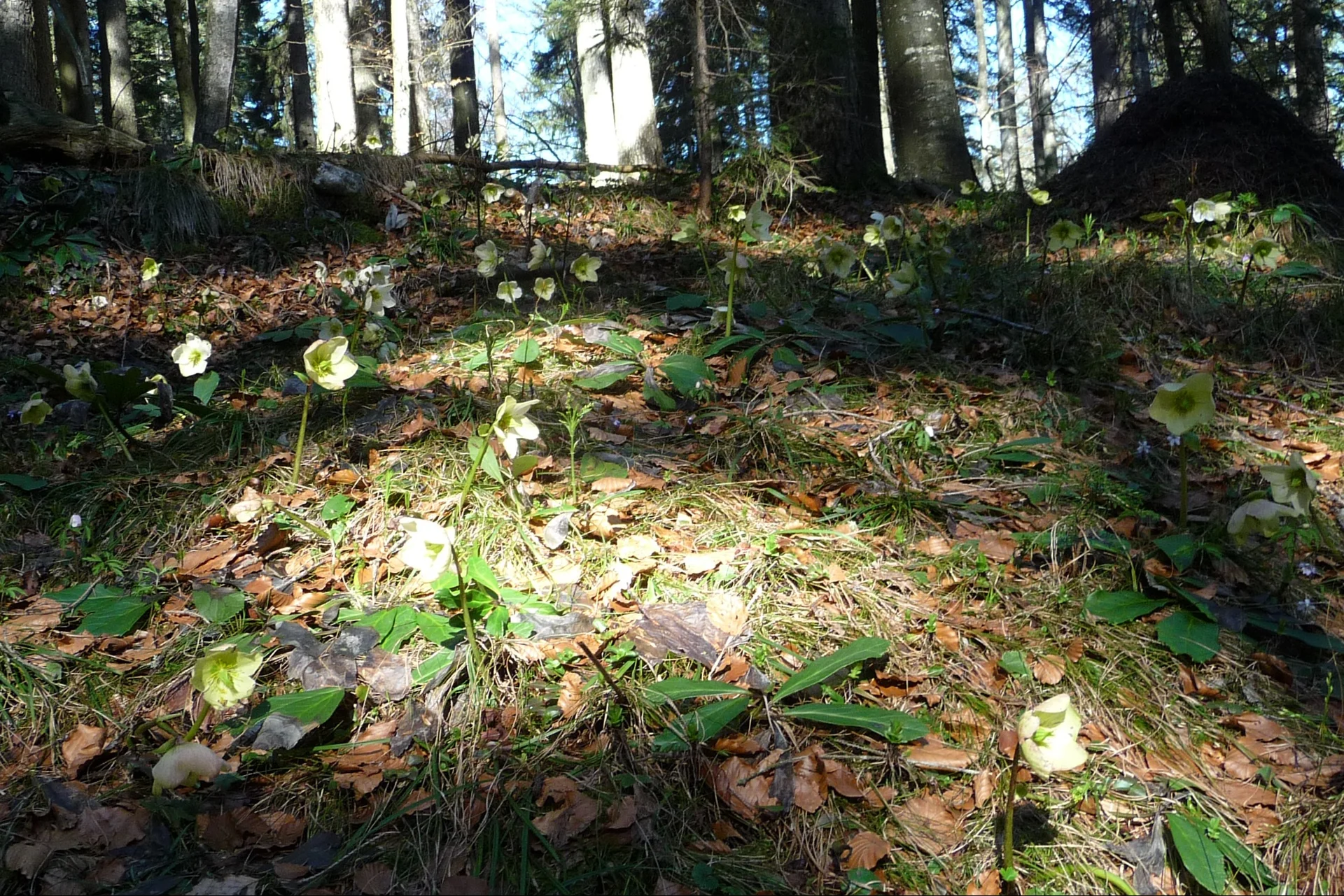 Pendling | © Pendling