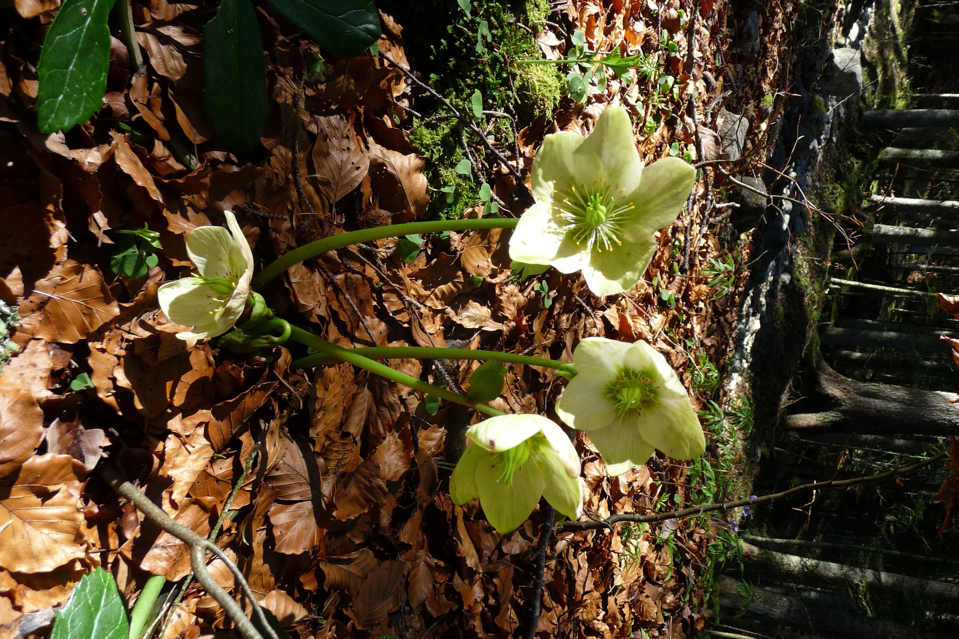 Pendling | © Pendling