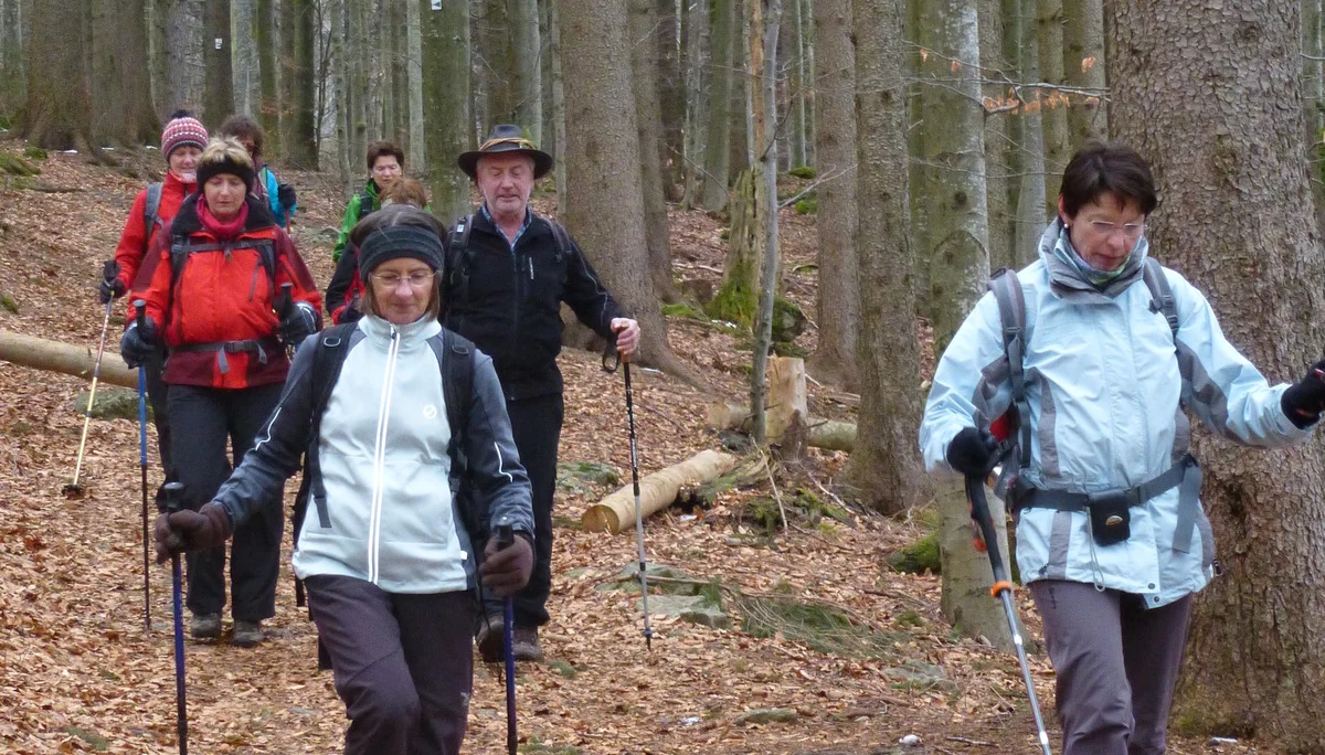 Falkenstein | © Falkenstein