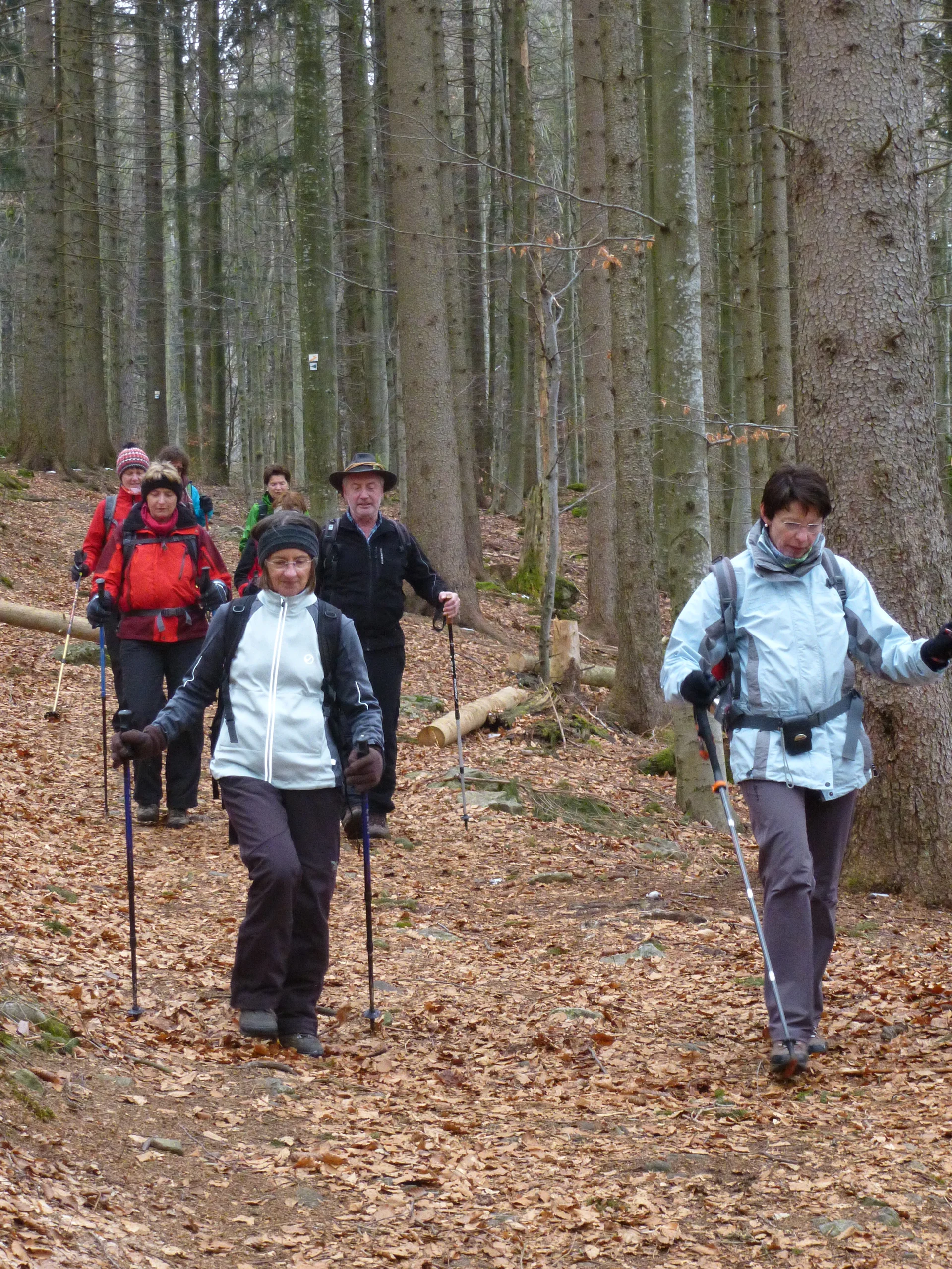 Falkenstein | © Falkenstein