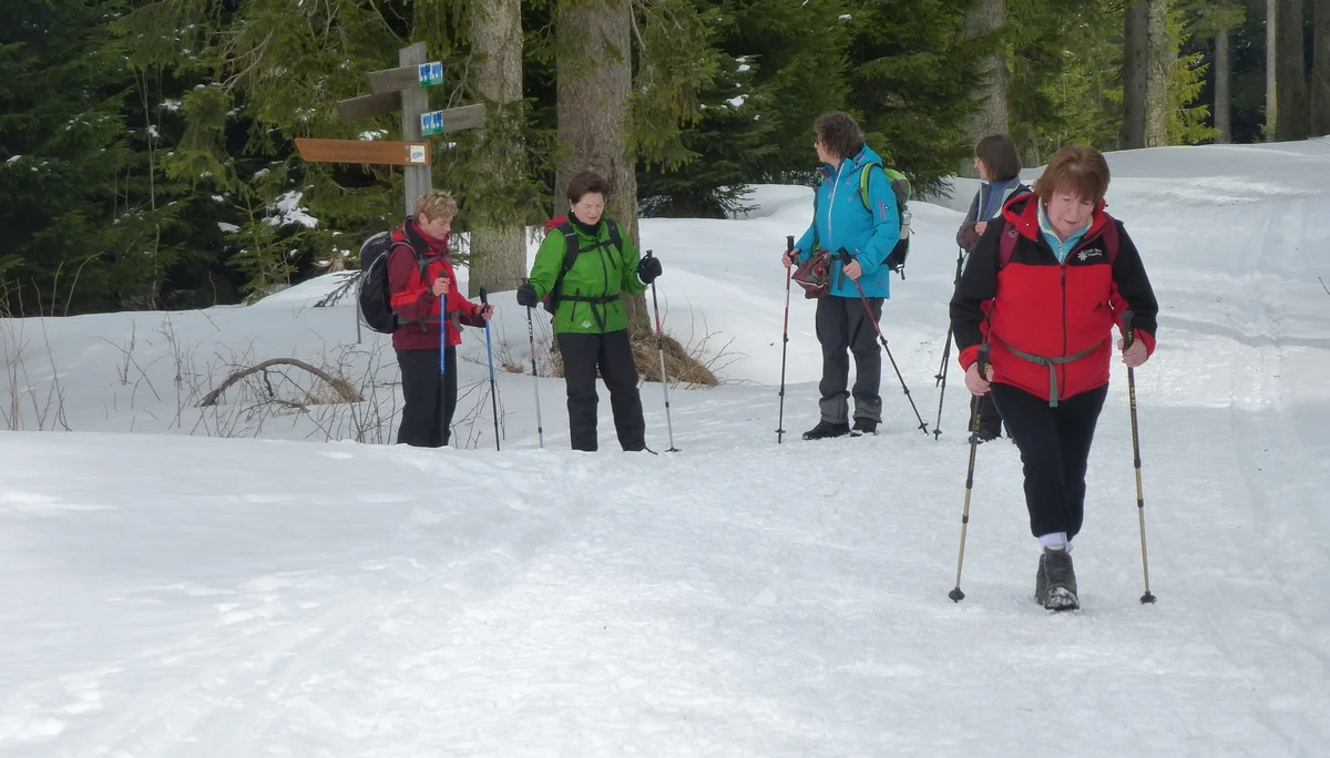Falkenstein | © Falkenstein