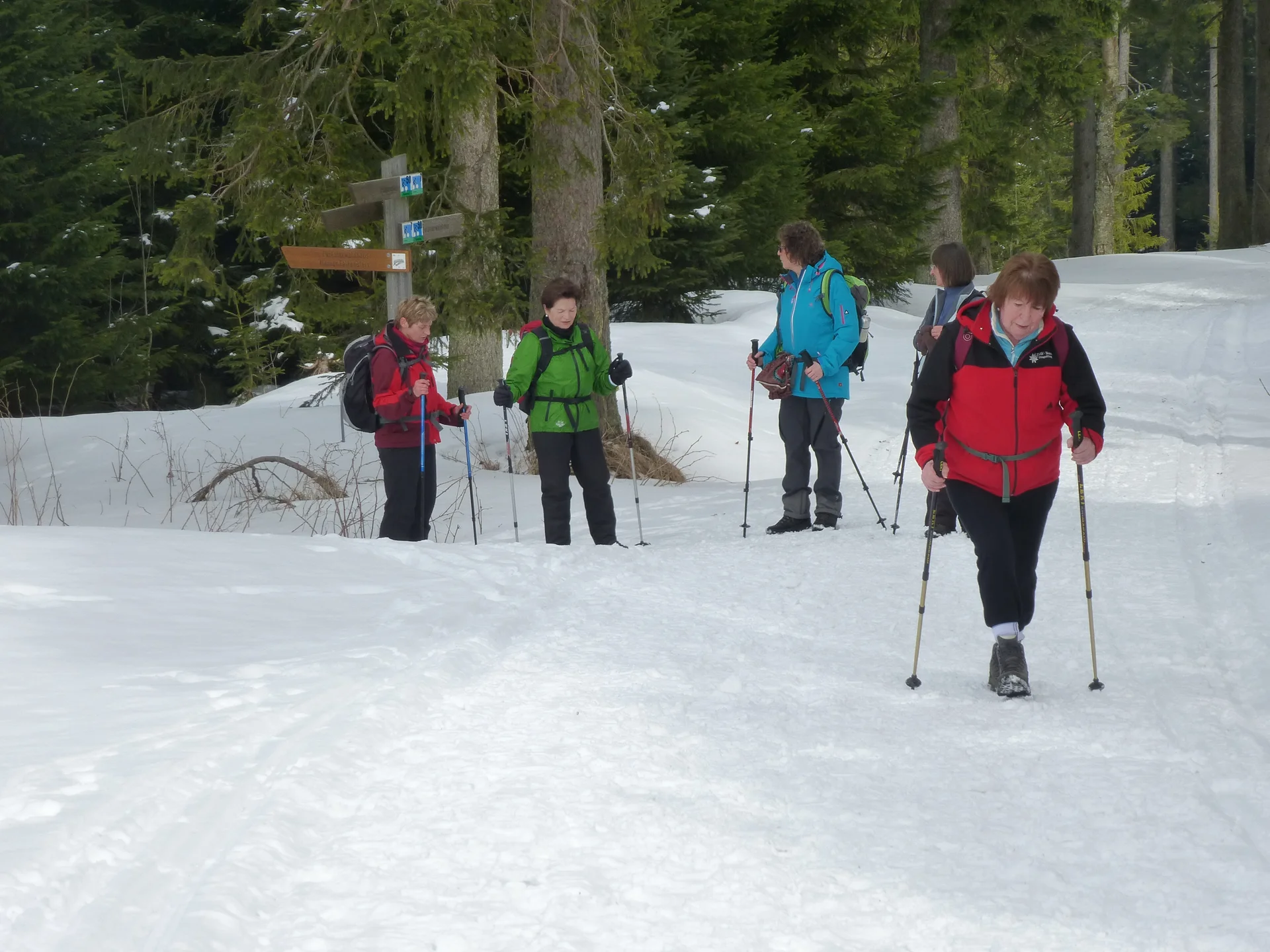Falkenstein | © Falkenstein