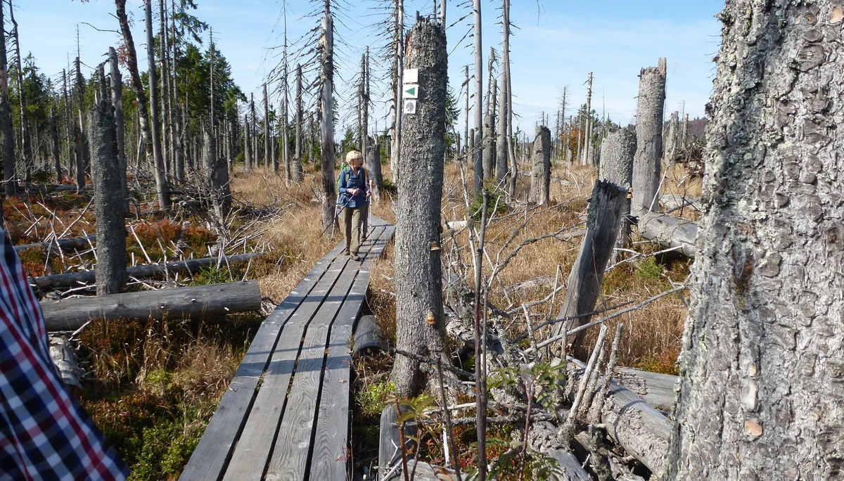 Schachten | © Schachten