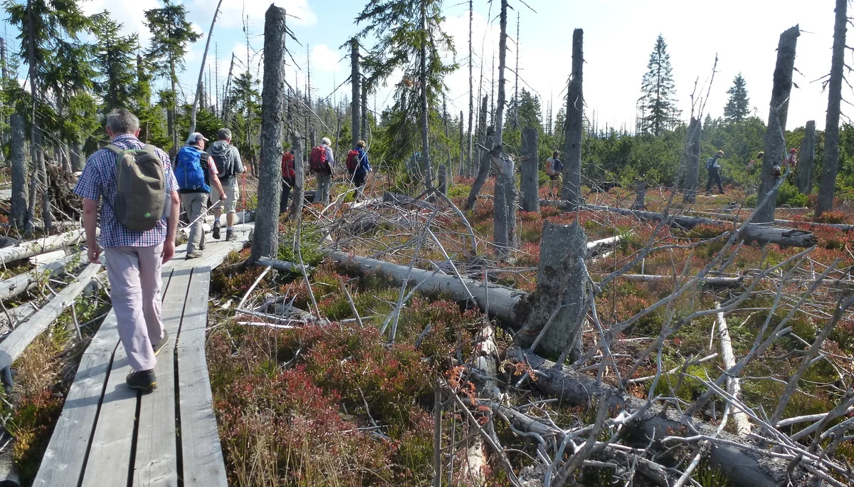 Schachten | © Schachten