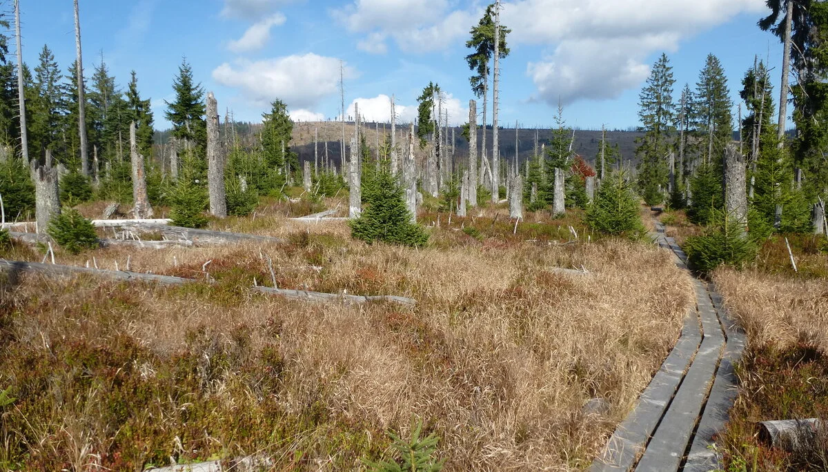 Schachten | © Schachten