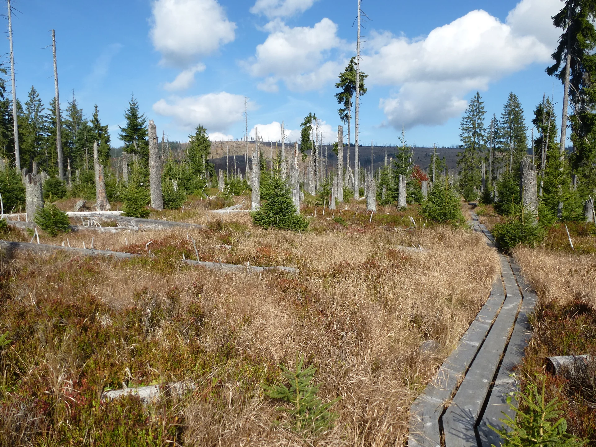 Schachten | © Schachten