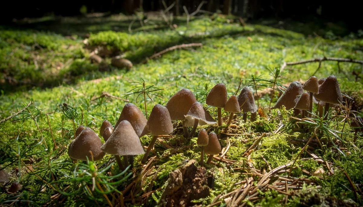 Seemannshausen | © Seemannshausen