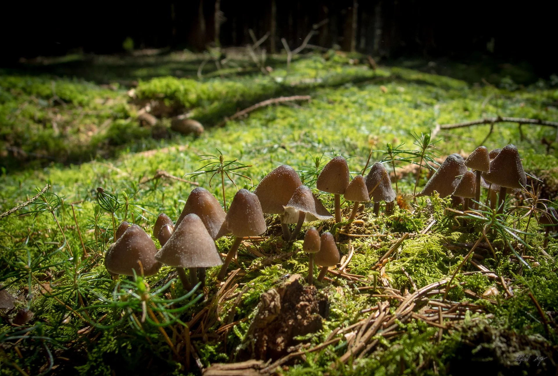 Seemannshausen | © Seemannshausen