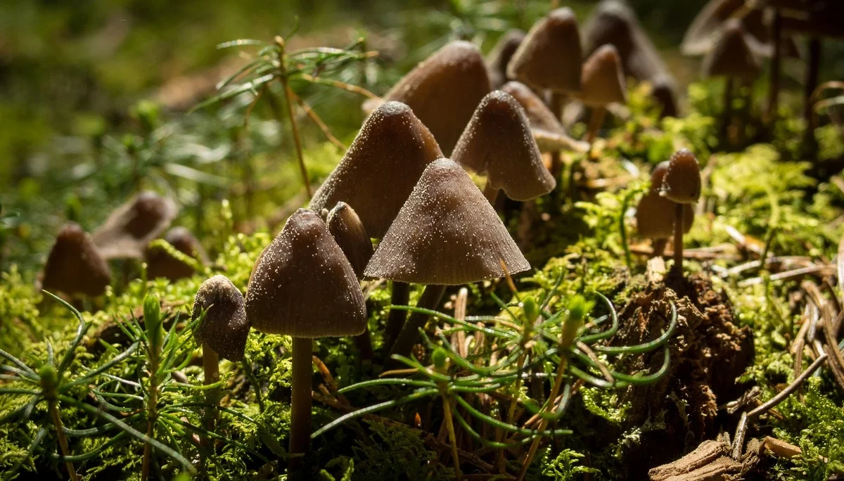 Seemannshausen | © Seemannshausen