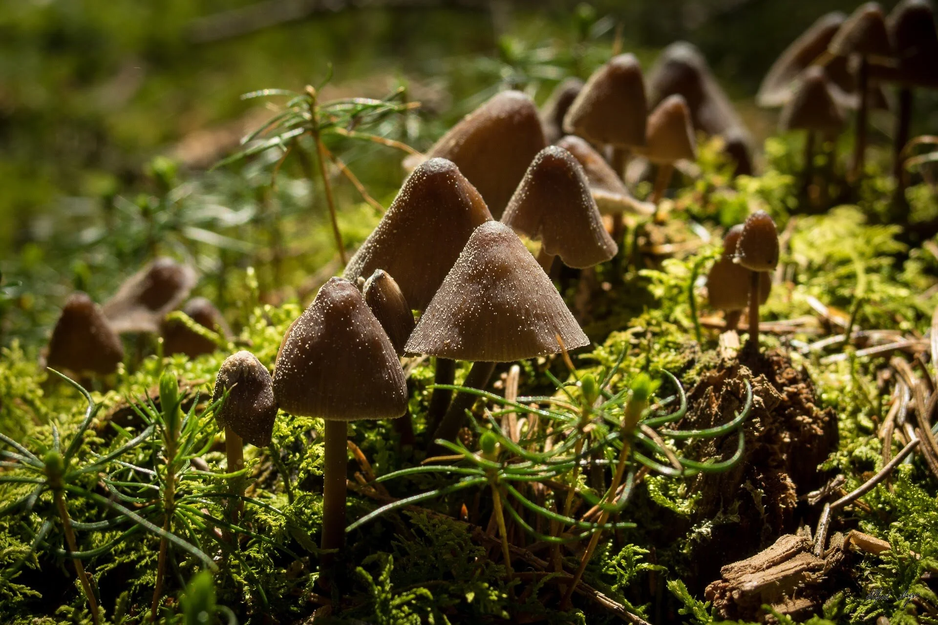 Seemannshausen | © Seemannshausen