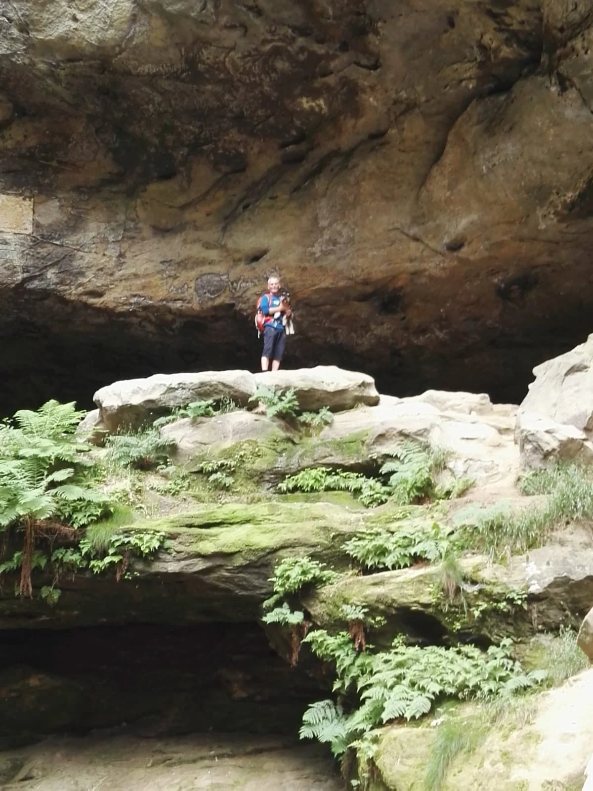 Sächsische Schweiz | © Sächsische Schweiz