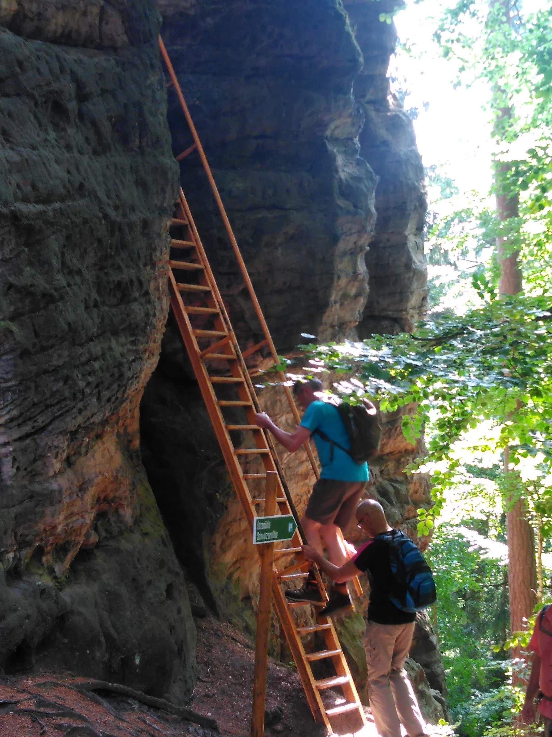 Sächsische Schweiz | © Sächsische Schweiz