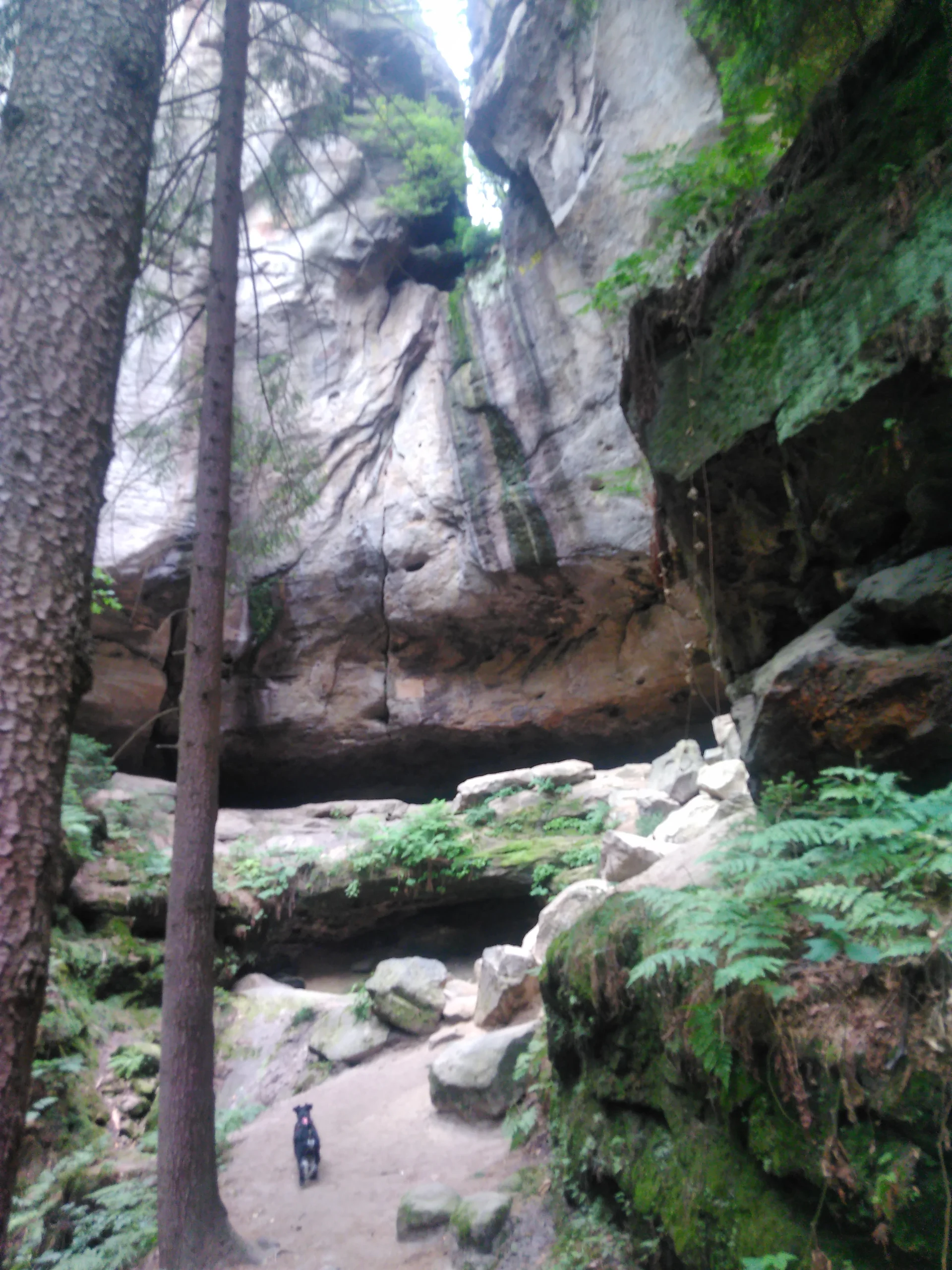 Sächsische Schweiz | © Sächsische Schweiz