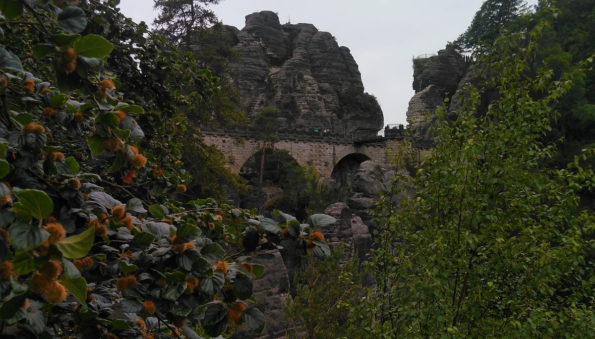 Sächsische Schweiz | © Sächsische Schweiz