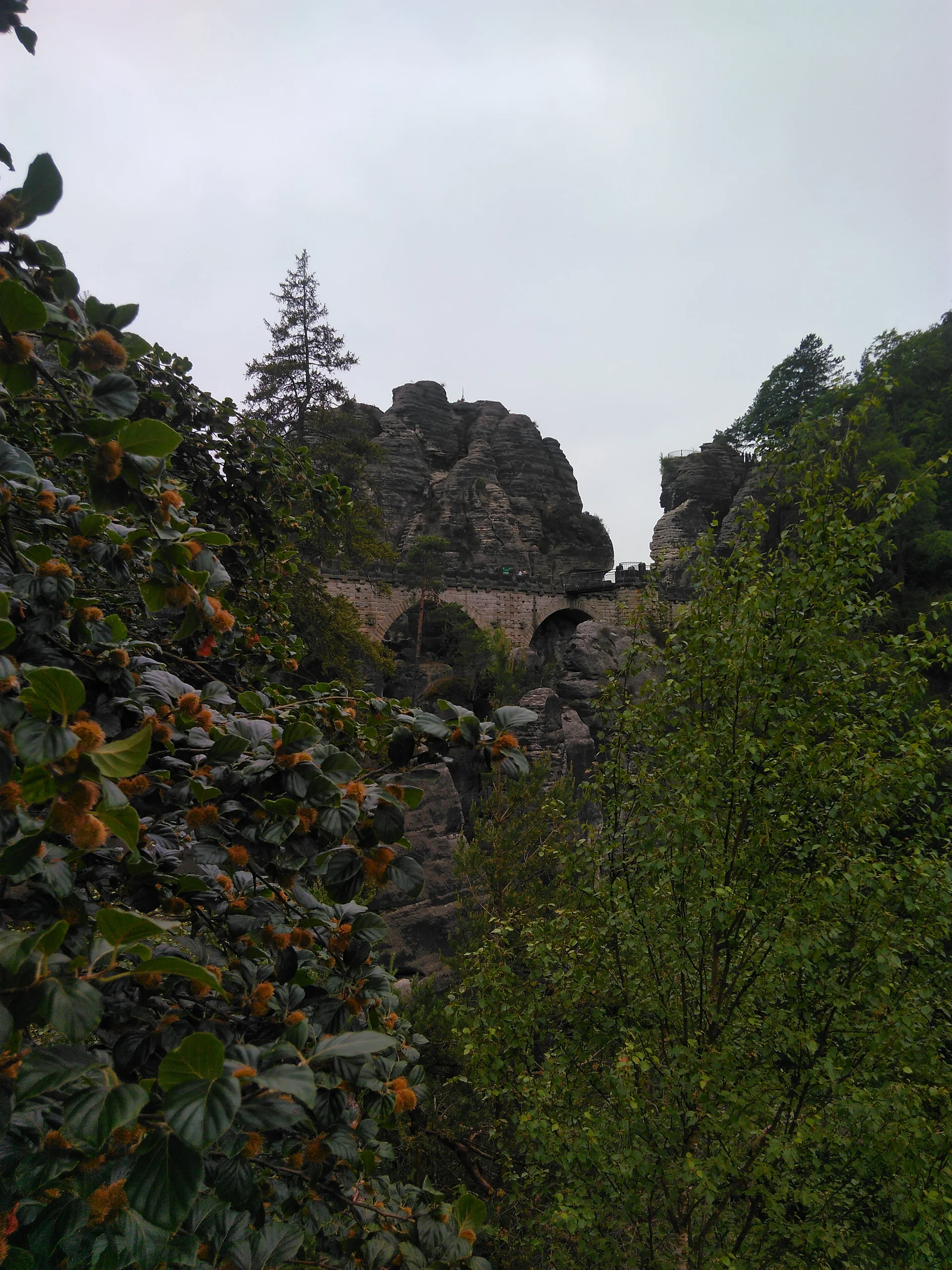 Sächsische Schweiz | © Sächsische Schweiz