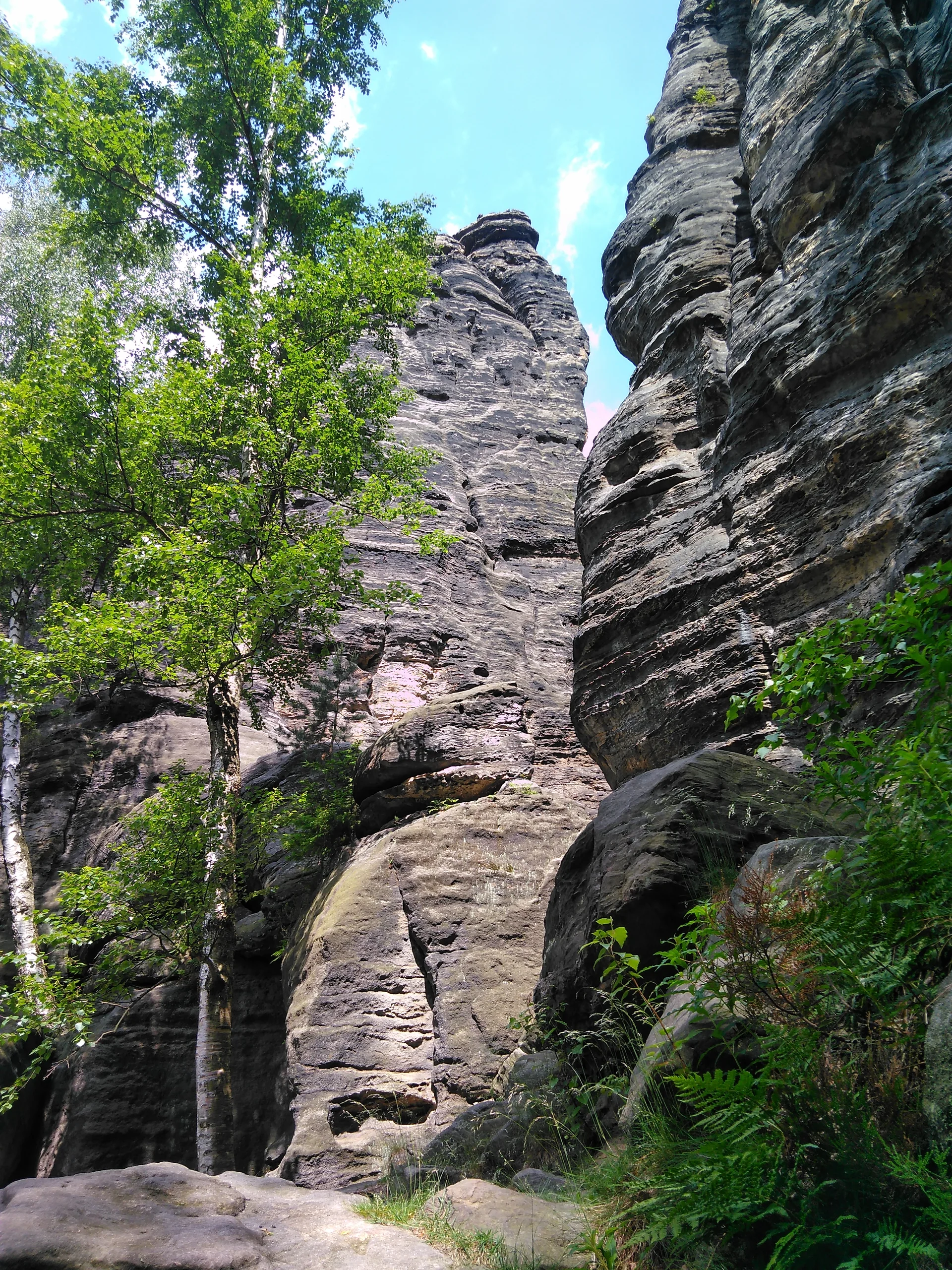 Sächsische Schweiz | © Sächsische Schweiz