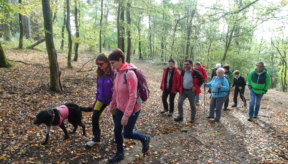 Bogenberg | © Bogenberg