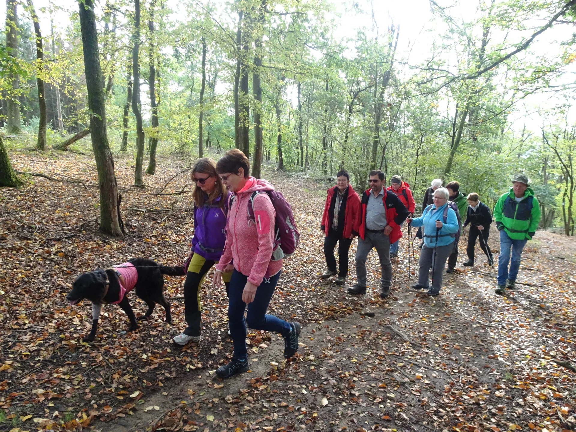 Bogenberg | © Bogenberg