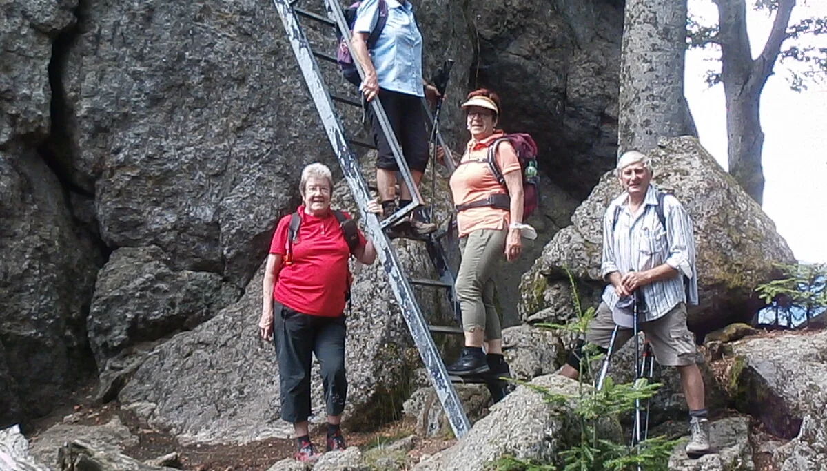 Harlachberg | © Harlachberg