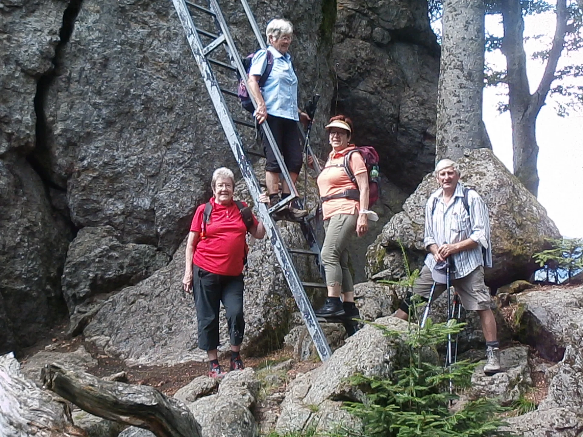 Harlachberg | © Harlachberg