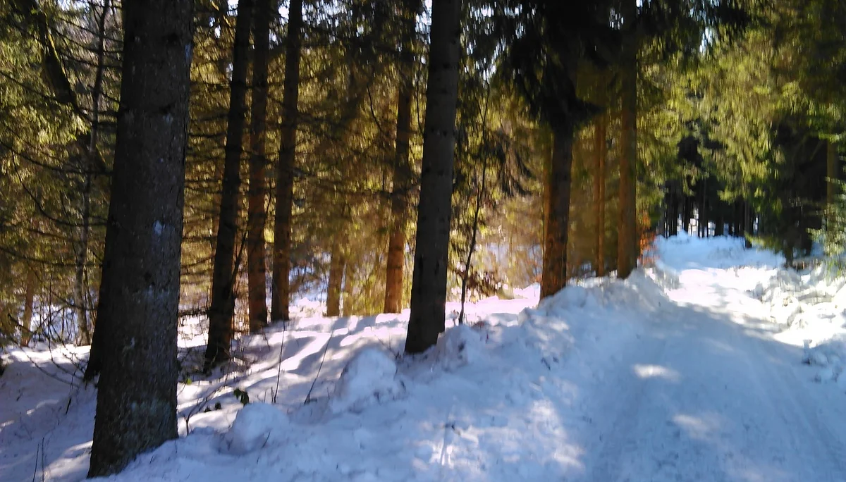 Gutsalm | © Gutsalm