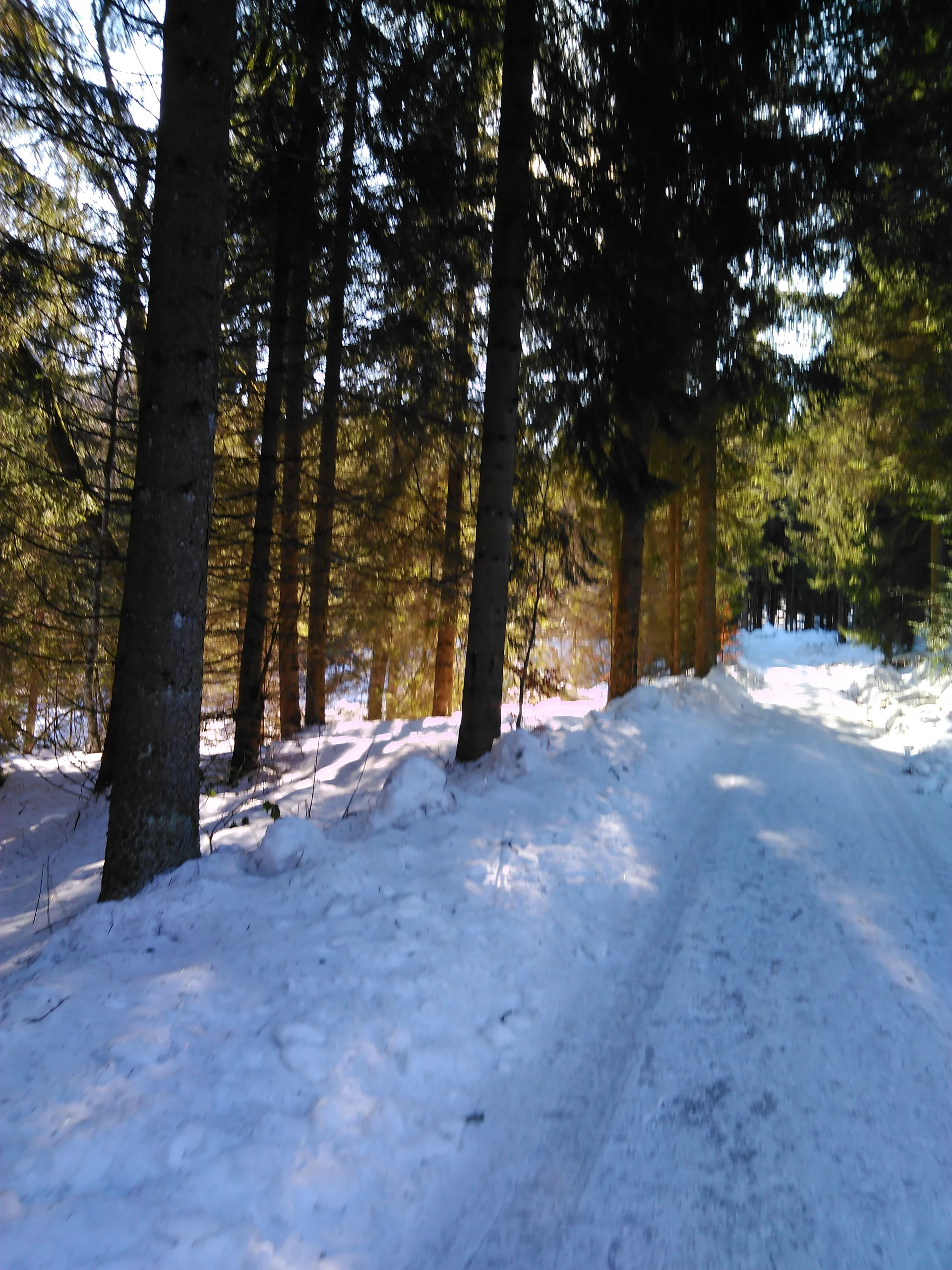 Gutsalm | © Gutsalm