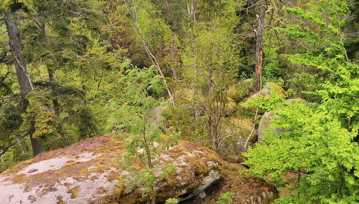 Marienstein | © Marienstein