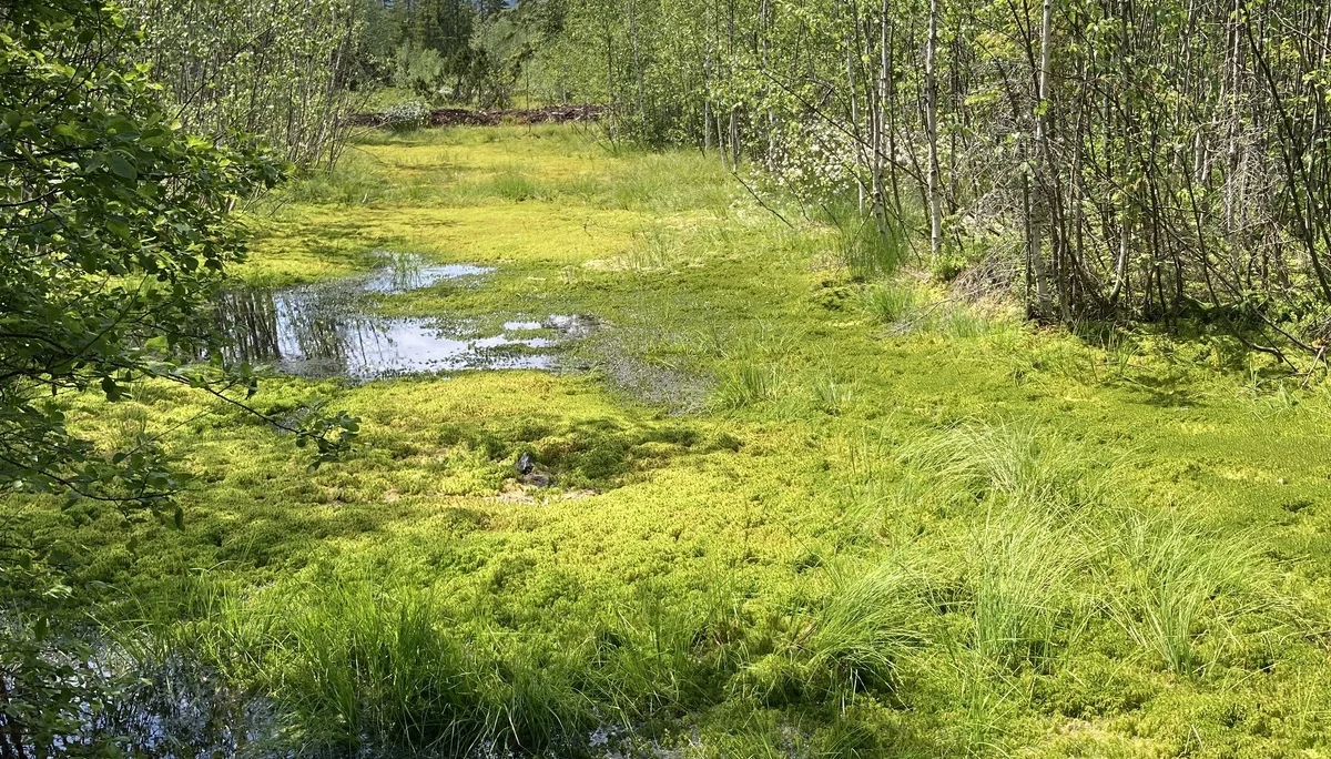 Siebensteinkopf | © Siebensteinkopf