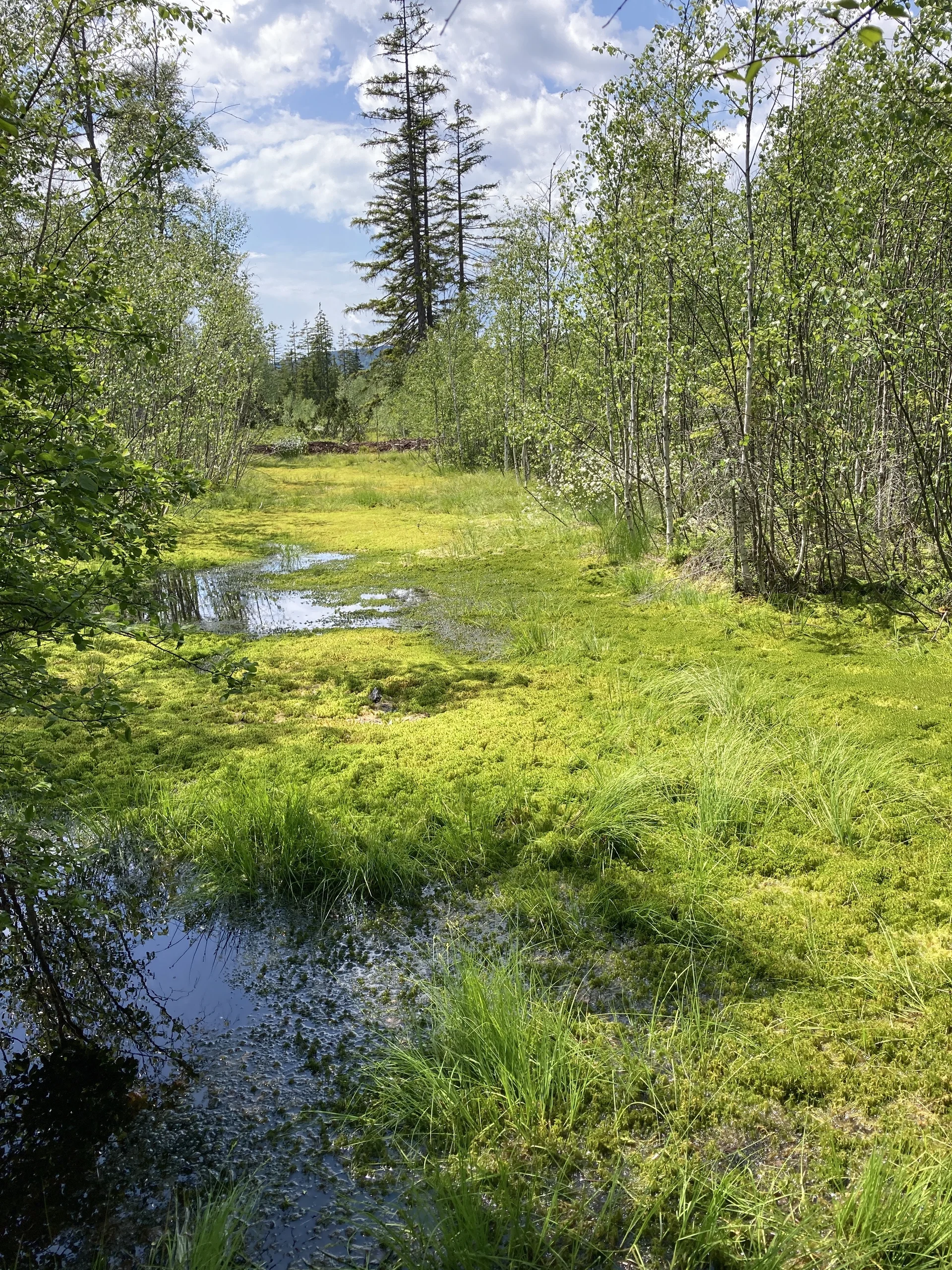 Siebensteinkopf | © Siebensteinkopf