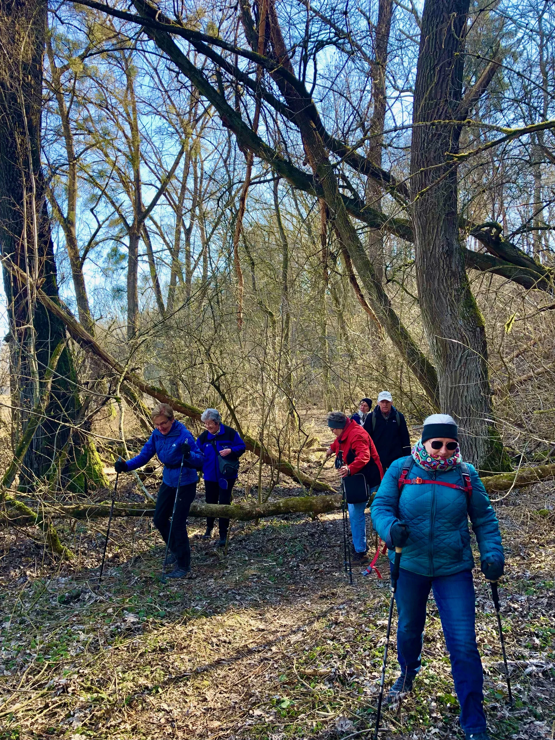 Teisbach | © Teisbach