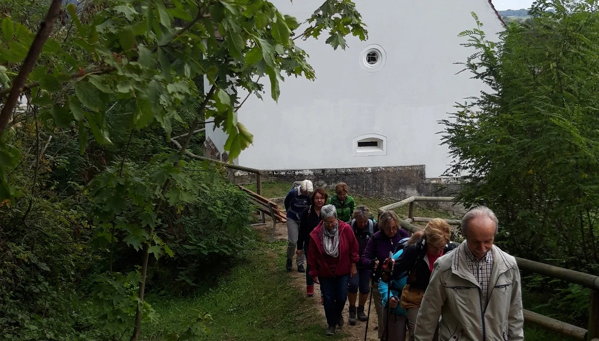 Wanderung auf dem Bogenberg | © Maier Georg