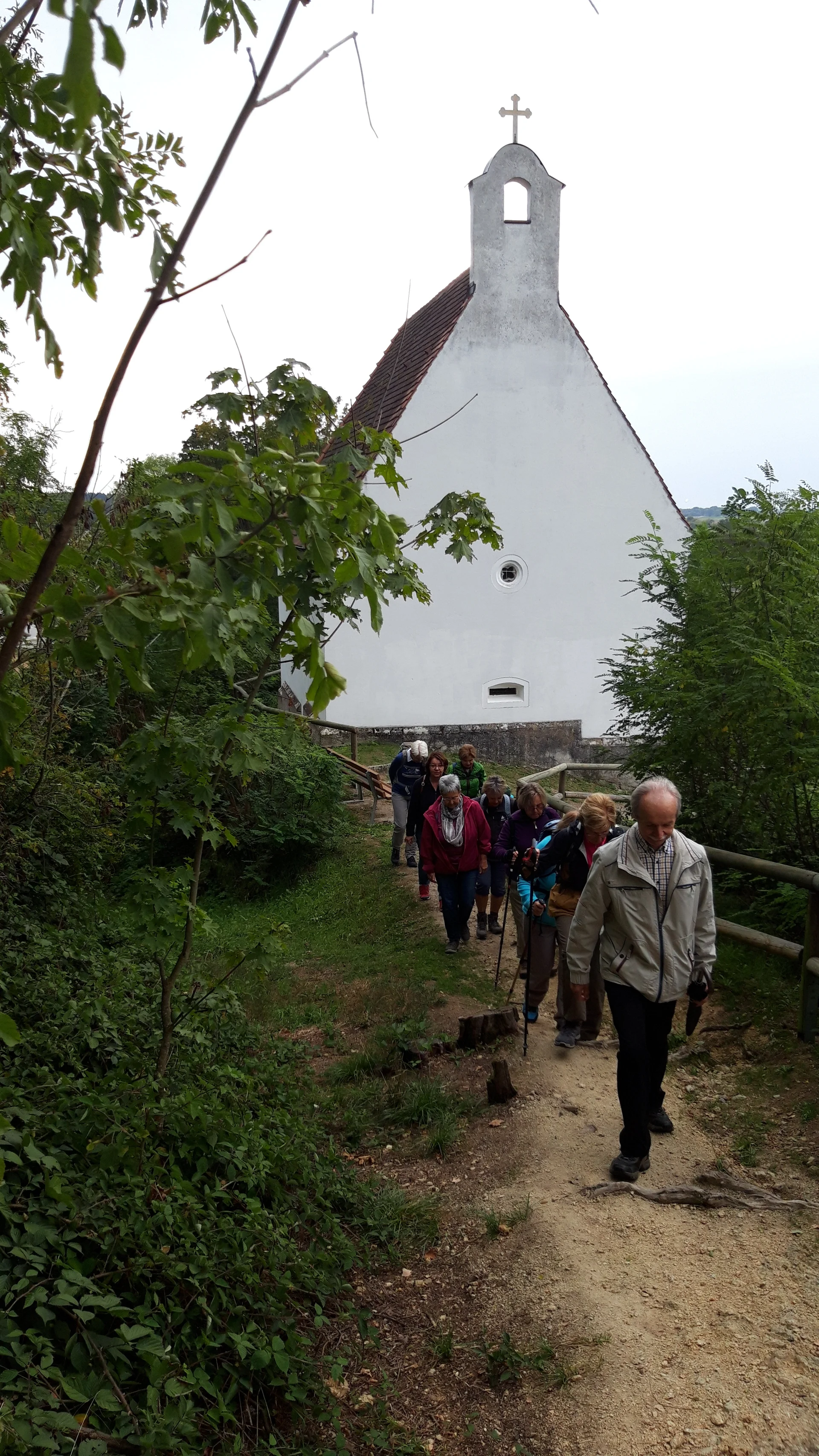 Wanderung auf dem Bogenberg | © Maier Georg