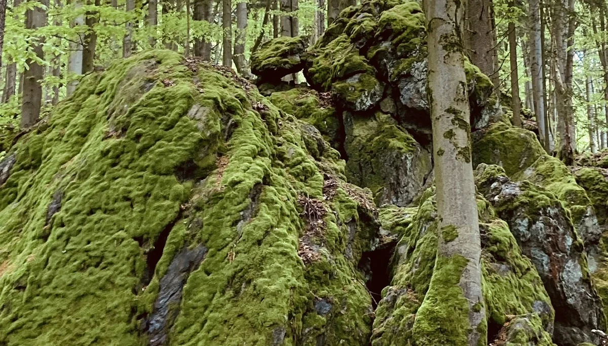 Lixenrieder Felsenlabyrinth - Gibacht | © Killesreiter Marlene