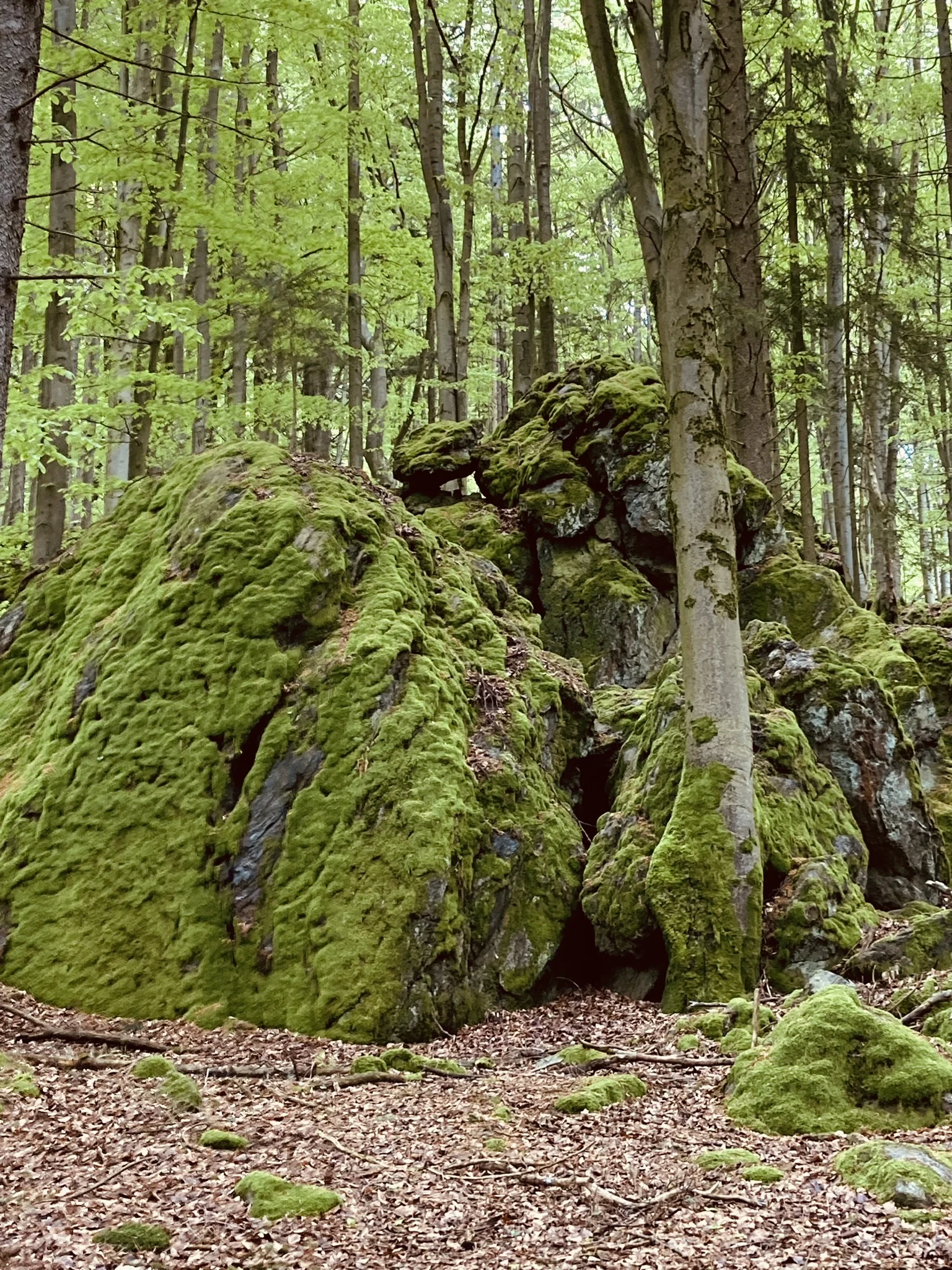 Lixenrieder Felsenlabyrinth - Gibacht | © Killesreiter Marlene