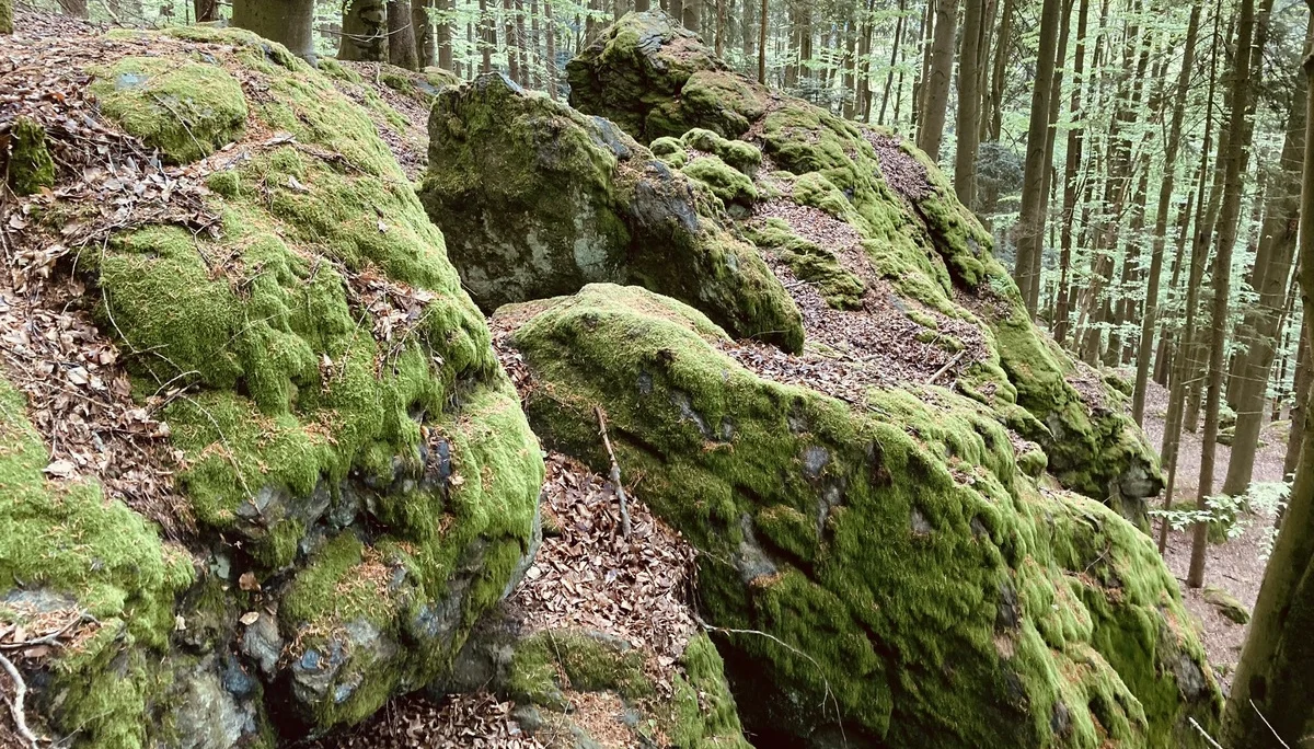 Lixenrieder Felsenlabyrinth - Gibacht | © Killesreiter Marlene