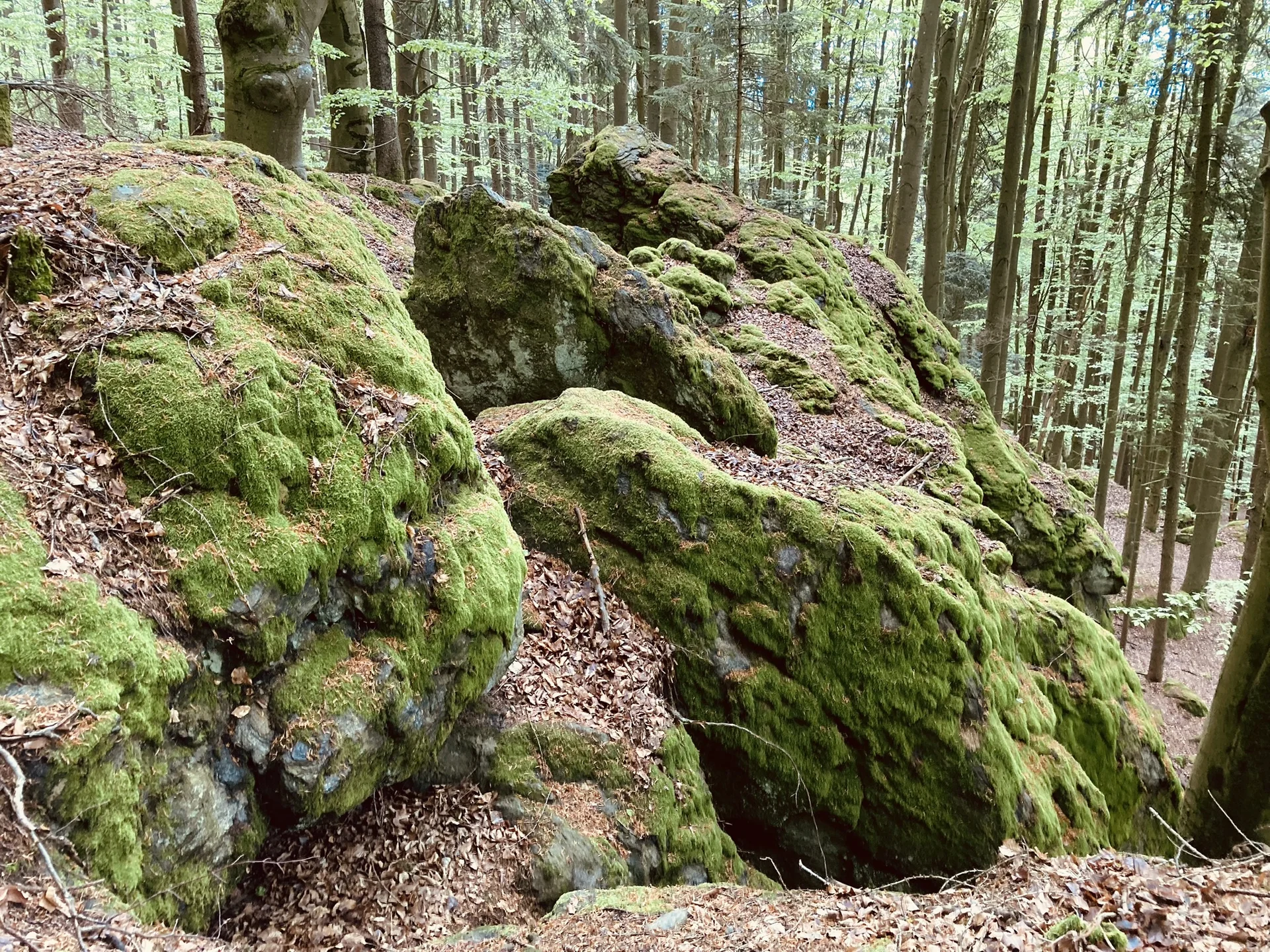 Lixenrieder Felsenlabyrinth - Gibacht | © Killesreiter Marlene