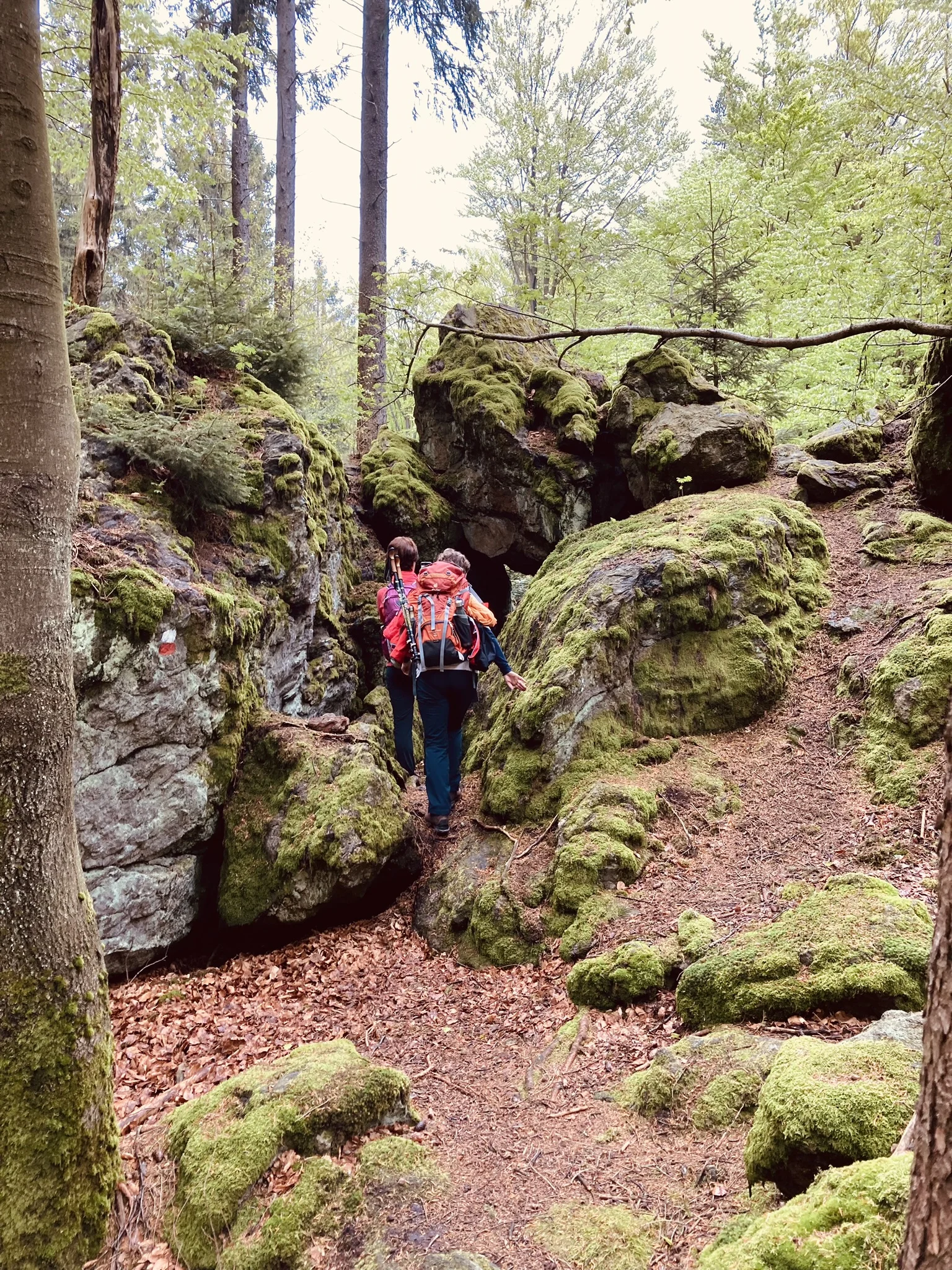 Lixenrieder Felsenlabyrinth - Gibacht | © Killesreiter Marlene