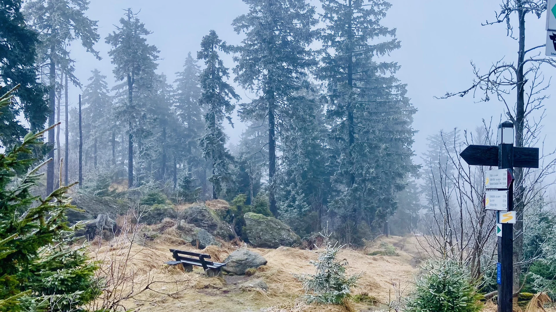 Schareben | © Killesreiter Marlene