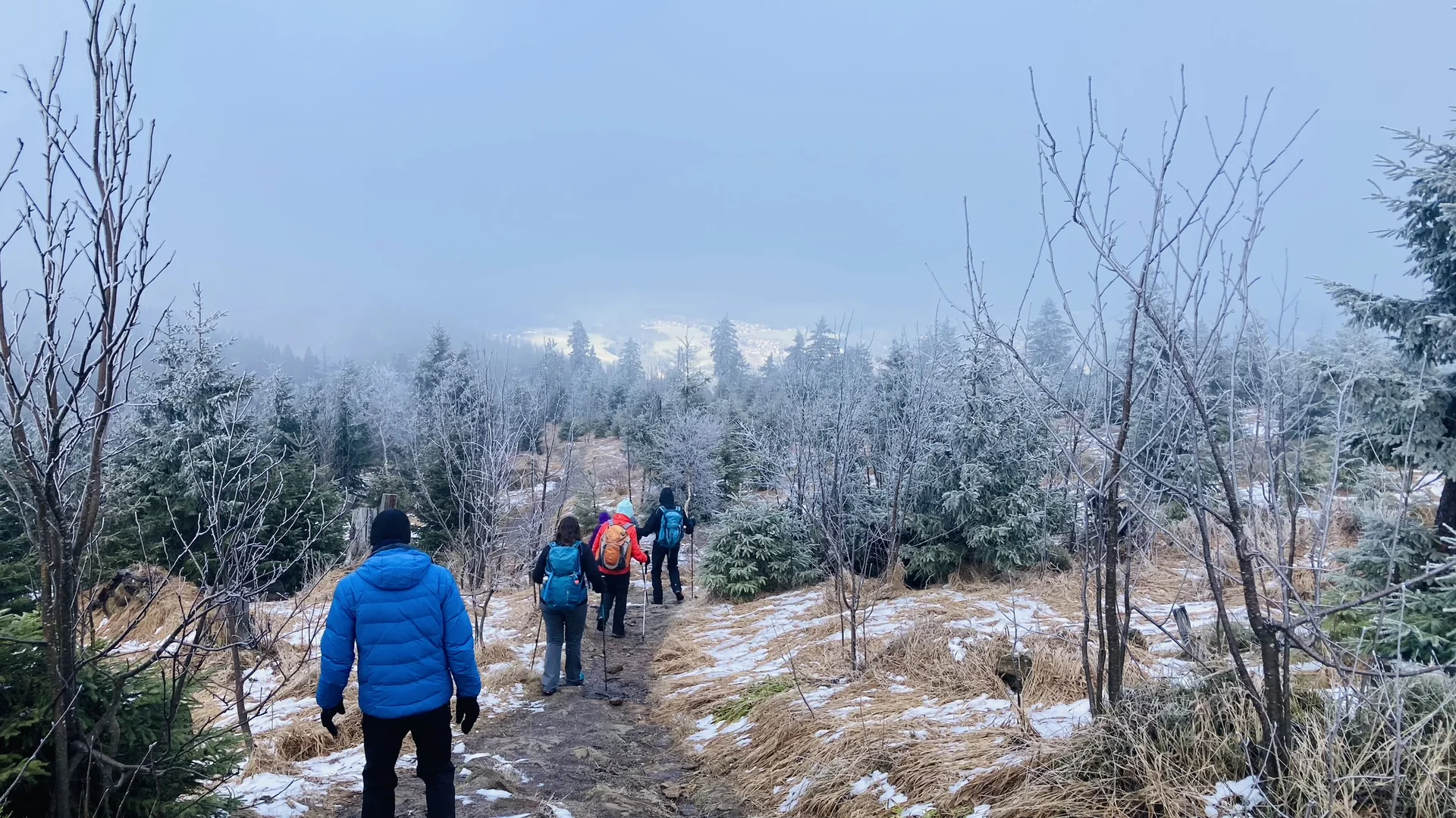 Schareben | © Killesreiter Marlene