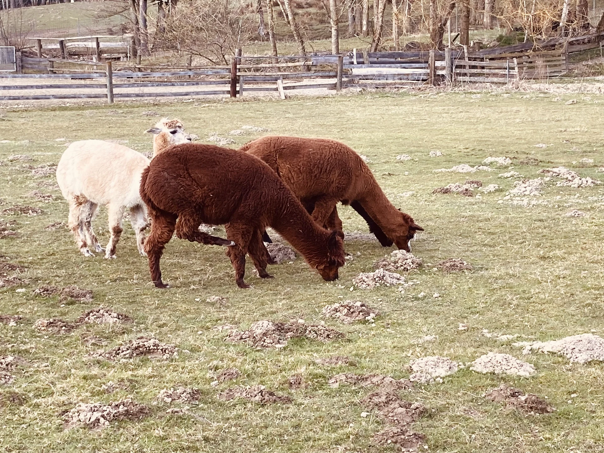 Auf Umwegen nach Seemannshausen | © Killesreiter Marlene