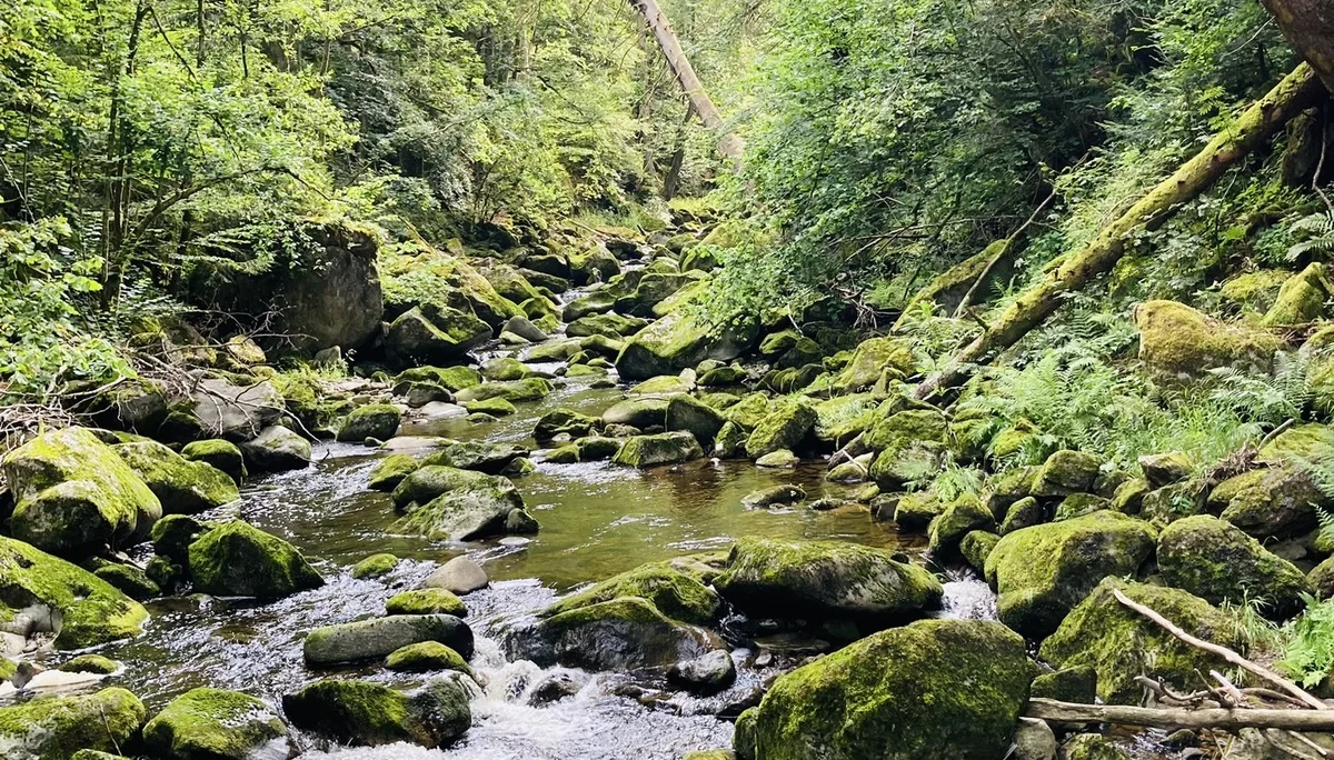 Wanderung durch die Buchberger Leiten | © Killesreiter Marlene
