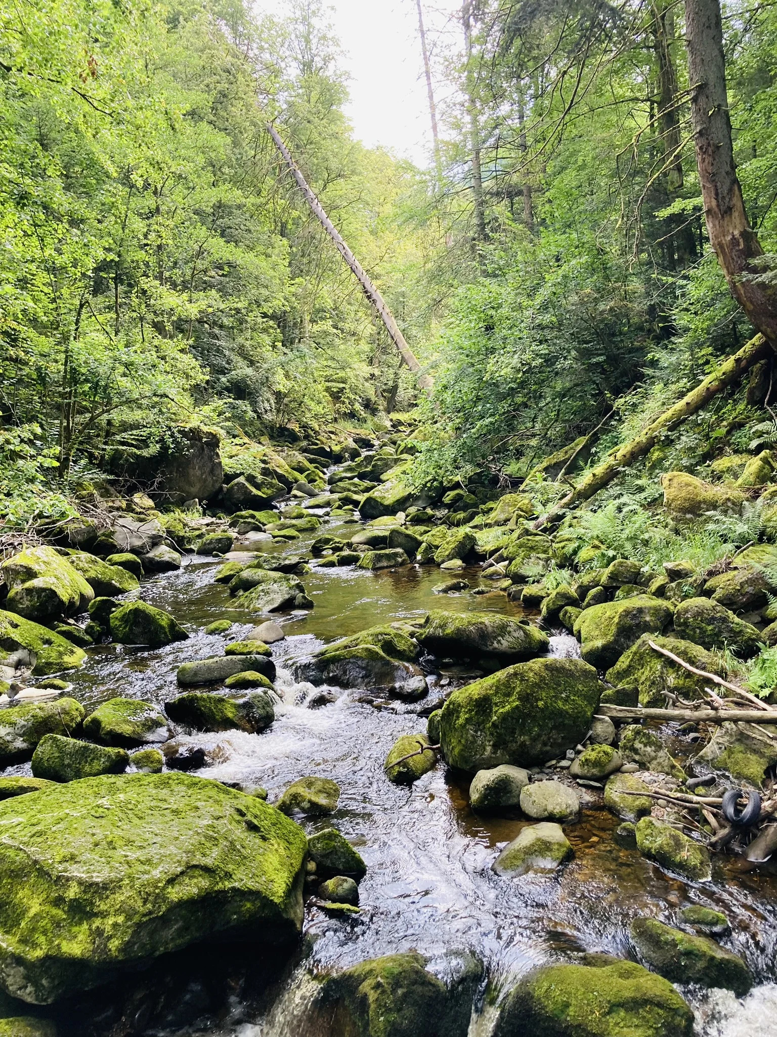 Wanderung durch die Buchberger Leiten | © Killesreiter Marlene