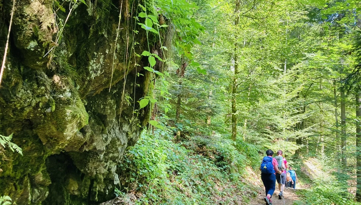 Wanderung durch die Buchberger Leiten | © Killesreiter Marlene