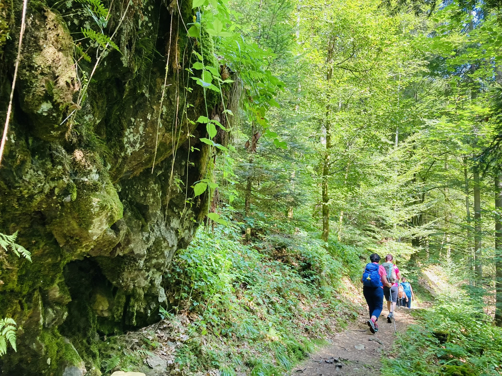 Wanderung durch die Buchberger Leiten | © Killesreiter Marlene