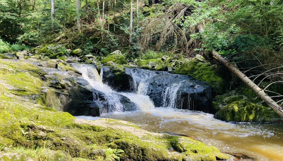 Wanderung durch die Buchberger Leiten | © Killesreiter Marlene