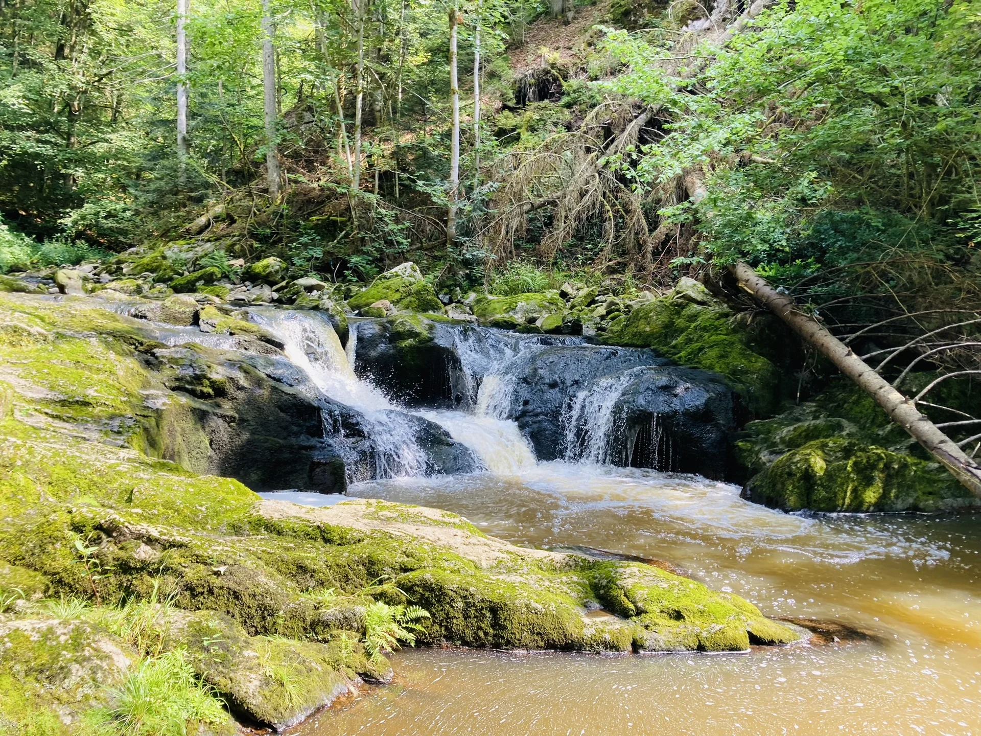 Wanderung durch die Buchberger Leiten | © Killesreiter Marlene