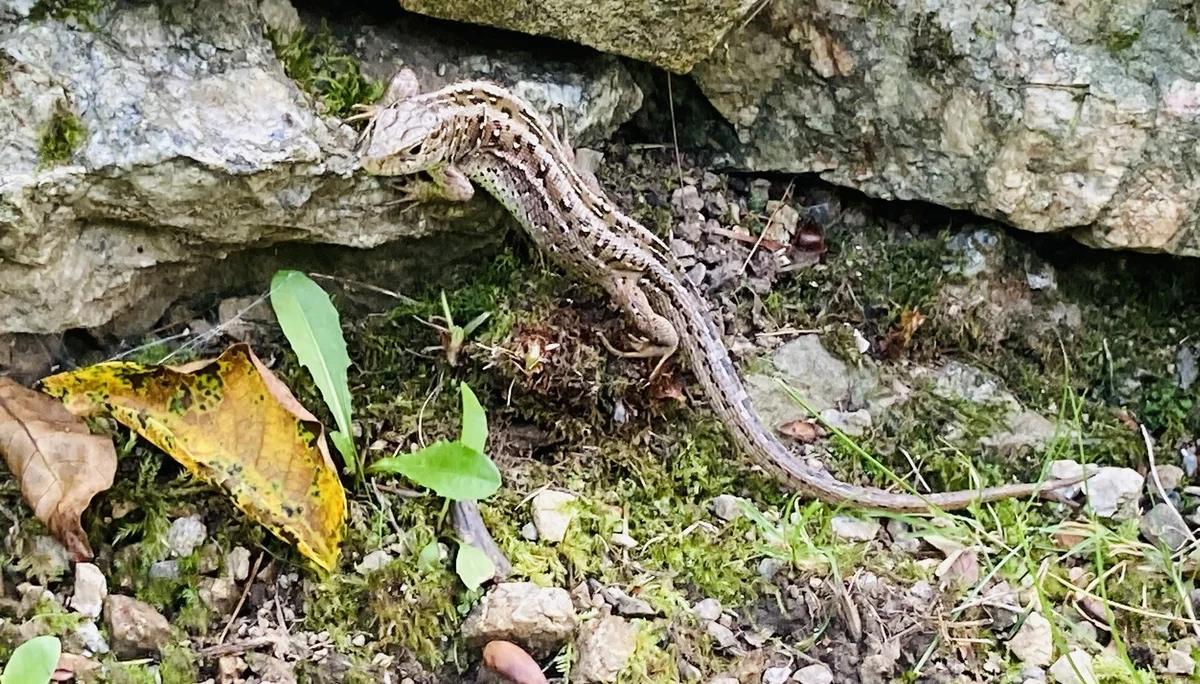 Wanderung durch die Buchberger Leiten | © Killesreiter Marlene