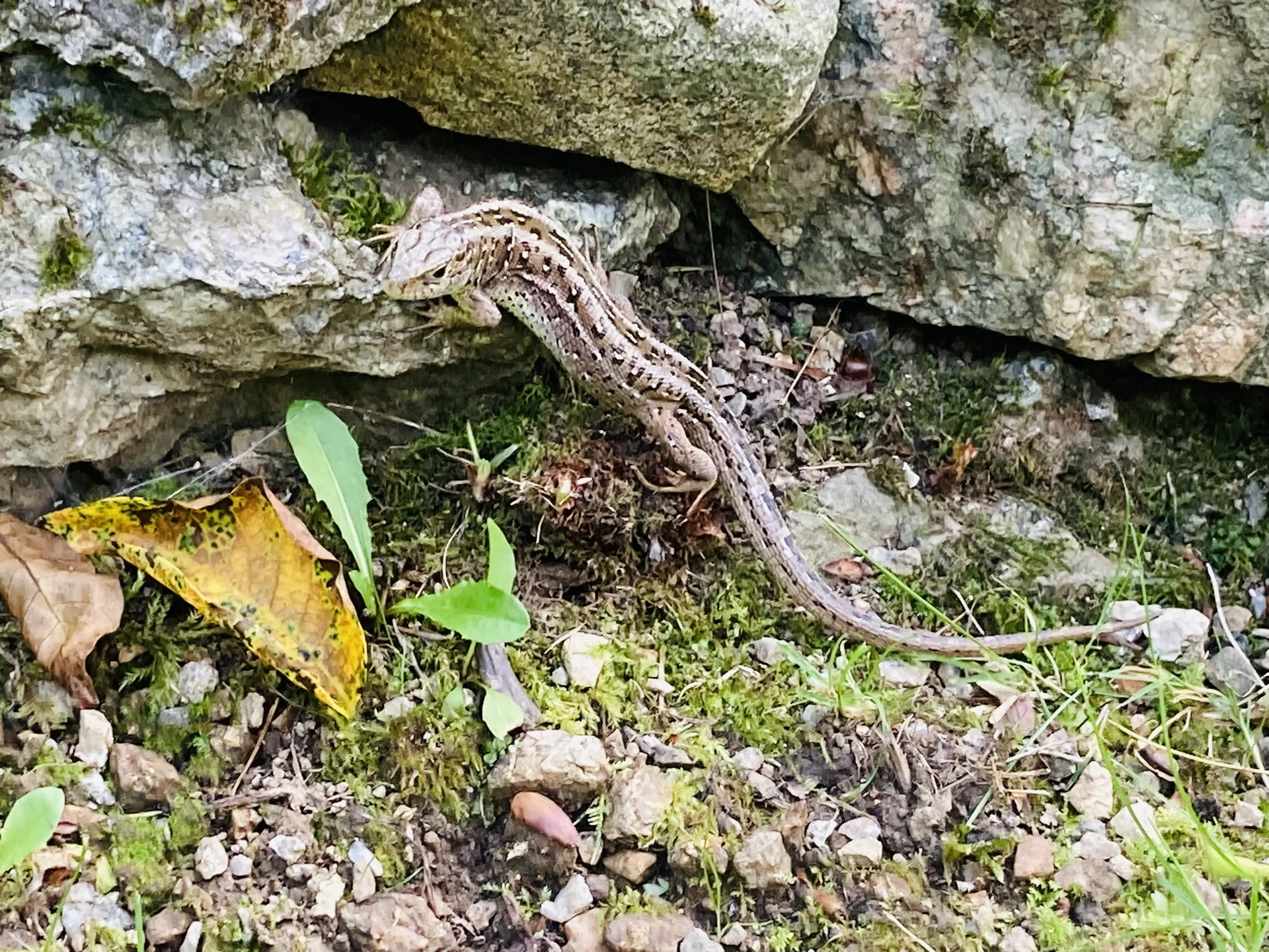 Wanderung durch die Buchberger Leiten | © Killesreiter Marlene